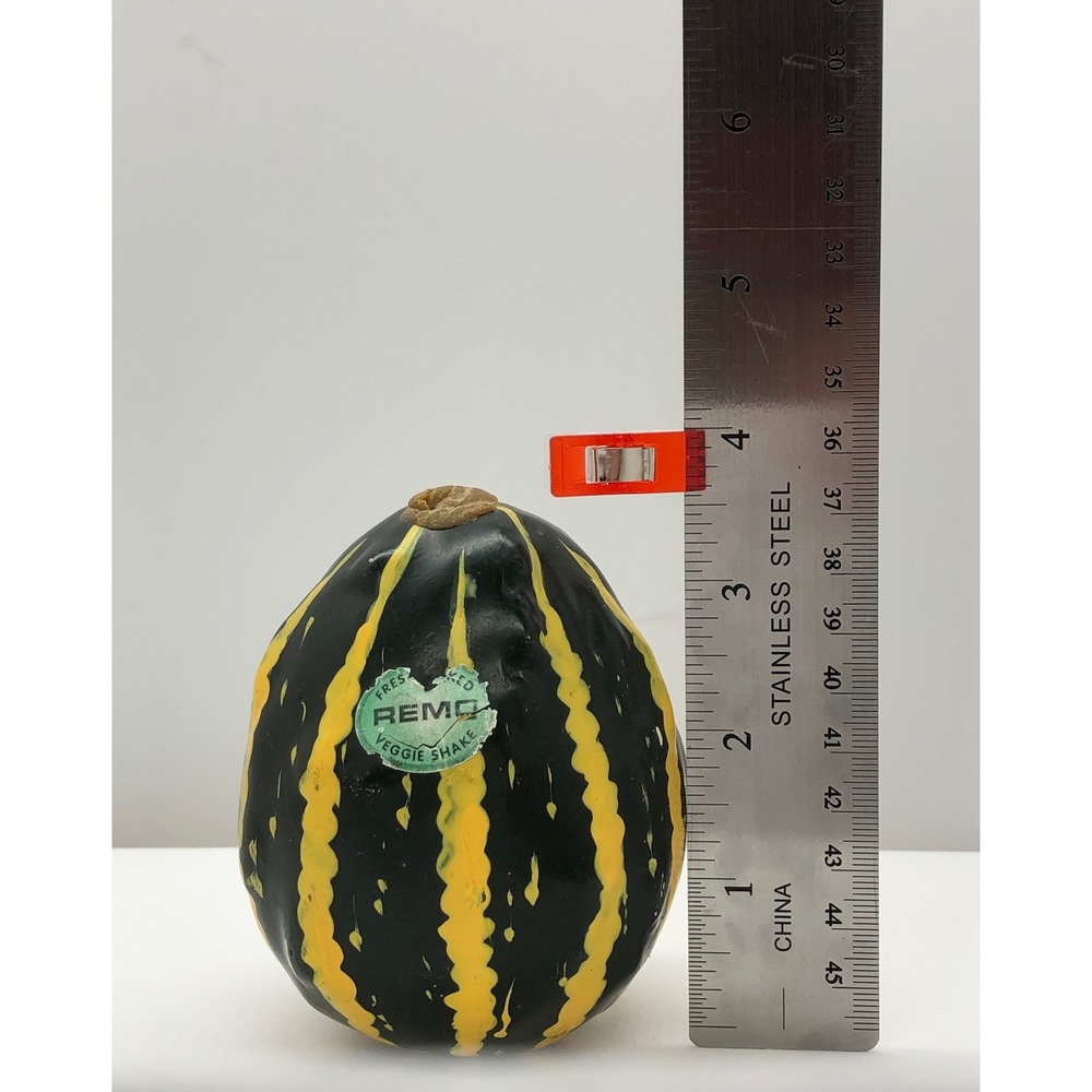 Remo Veggie Shake Hand Percussion Gourd Style Shaker Green Yellow Striped - Picture 4 of 11